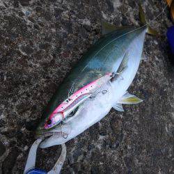 なんとかボウズ逃れ