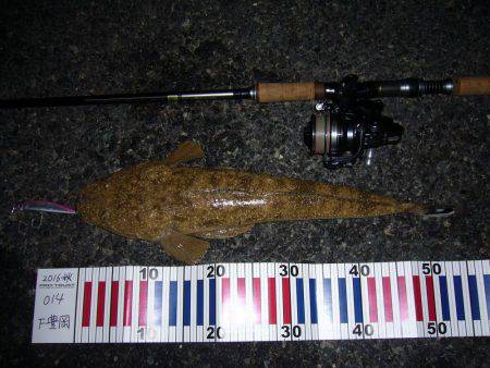 台風後の波立つサーフにて