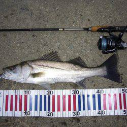 夕方に少し攻めて