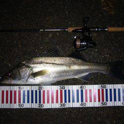 短時間の一カ所勝負