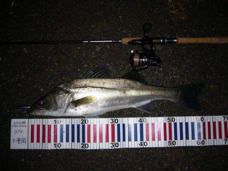 短時間の一カ所勝負