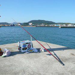 厳しい釣行でした