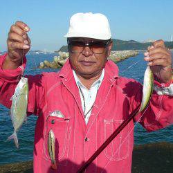 南淡へ落ちギス調査