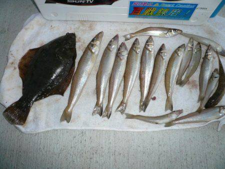 久々に長女と釣行しました