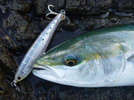 強風でしたが。。。