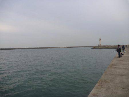 激渋タチウオ???