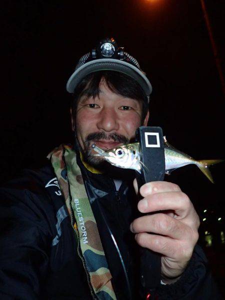 太刀魚終わりのアジング♪