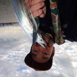 ベビーウエイトルアーｄｅ太刀魚！