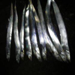 今会は良くアタリも出ました・・・太刀魚・・・