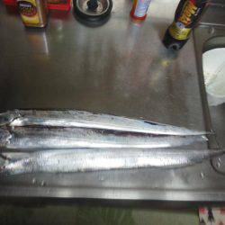 太刀魚ゲット・・・・・