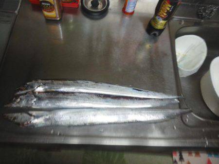 太刀魚ゲット・・・・・