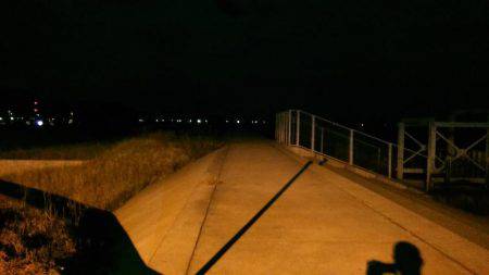 泉南中アジ調査でランガン