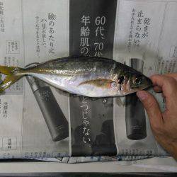 先週のアジ追跡調査に続き泉南方面ランガン