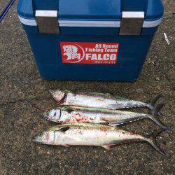 マイポイントで朝練