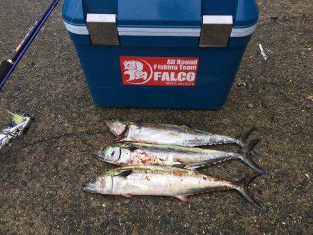 マイポイントで朝練