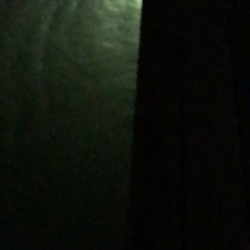 タチウオ激しぶ