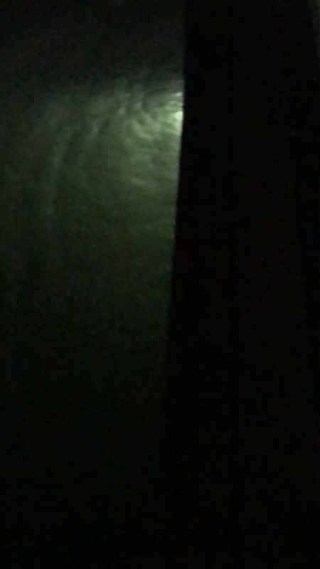 タチウオ激しぶ