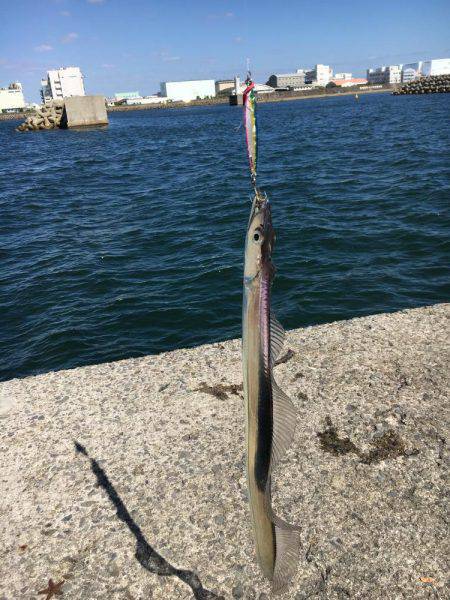 フォール中にガツン！