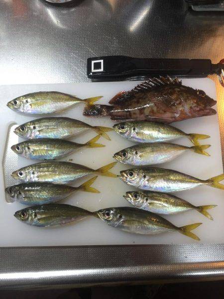 ３時間遊べたよ