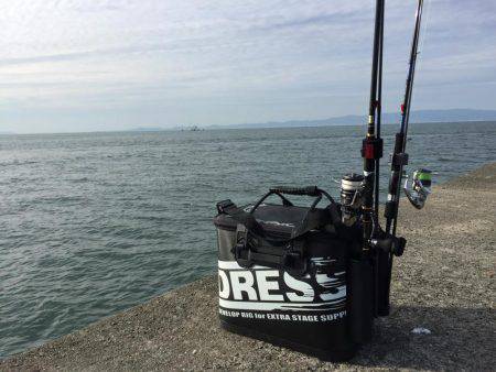 岸和田一文字 タチウオ釣行