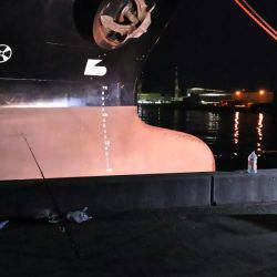 久々のアナゴ調査