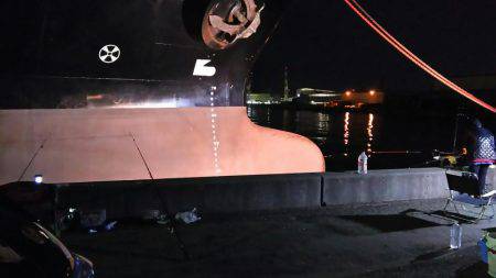 久々のアナゴ調査