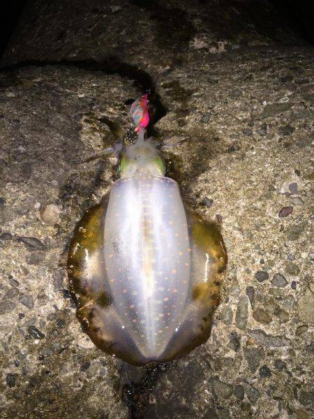 満足サイズが出ない！？