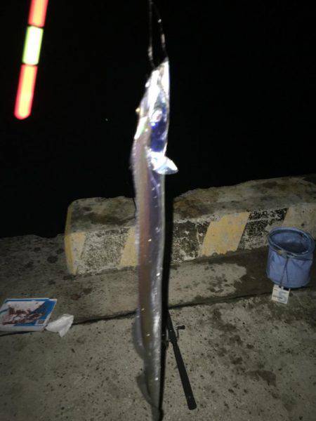 太刀魚とアジとイカとキス