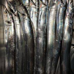 太刀魚ワインド