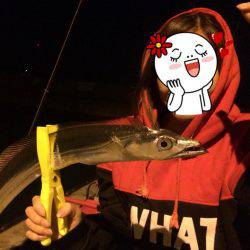 アジング&サビキ&泳がせ！