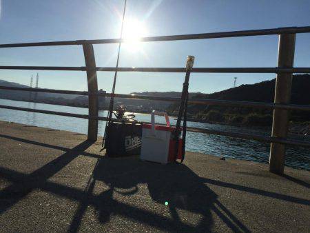 淡路島 翼港 エギング釣行