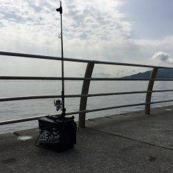 淡路島 翼港釣行