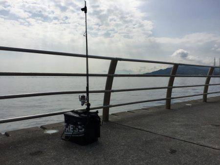 淡路島 翼港釣行