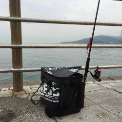 淡路島 翼港釣行3日目