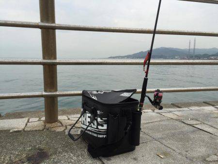 淡路島 翼港釣行3日目