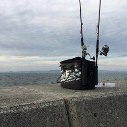 爆風タチウオ釣行