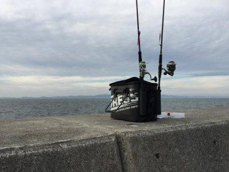 爆風タチウオ釣行