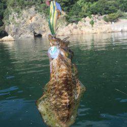 マイボートエギング