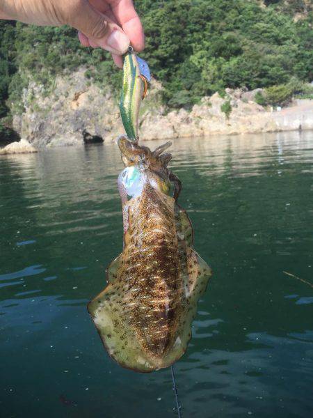 マイボートエギング