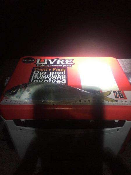 まちにまったこのサイズ！（≧∇≦）