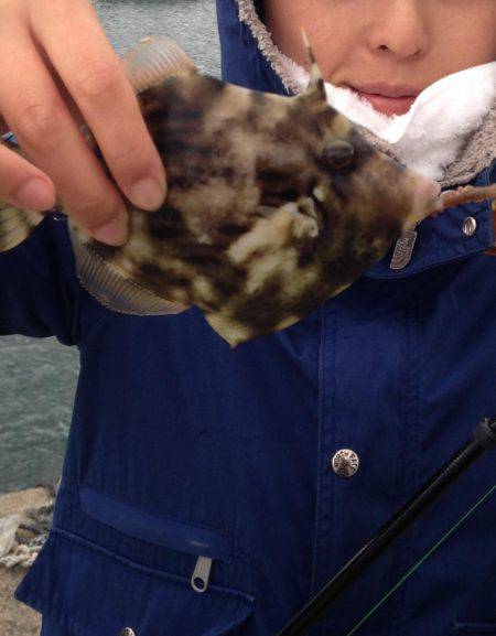 舞鶴2漁港、渋すぎて参った（初投稿）