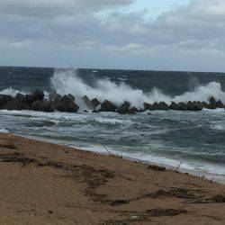 台風並みの暴風の中…
