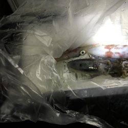 奈良より釣ーリング（バイク釣行）