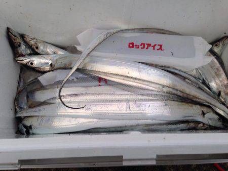 淡路島青物遠征のはずが。