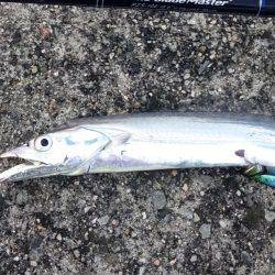 状況は良かった…