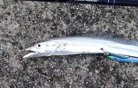 状況は良かった…