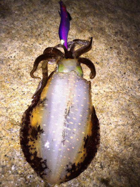 渋い〜(・ω・)ノ