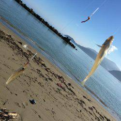 夏の終わりにちょい投げ