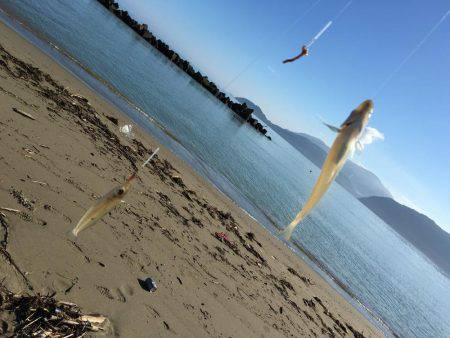 夏の終わりにちょい投げ