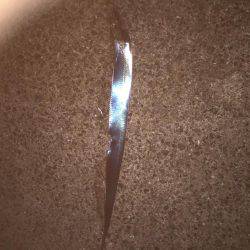 シーバス狙いが